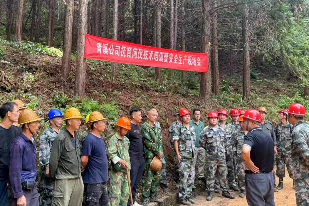 加強森林撫育示范管理，促進森林質(zhì)量精準提升