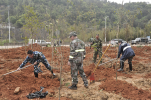 陽春三月雨，正是植樹好時節(jié)