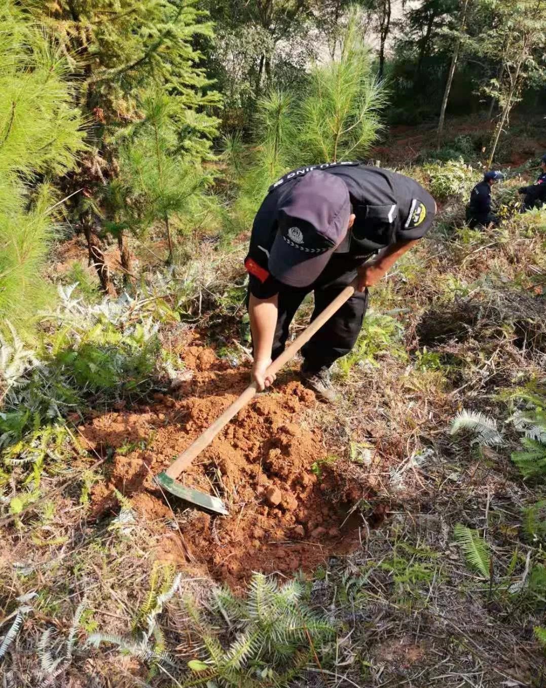 干好每一天|青山掛白我復(fù)綠，無私奉獻(xiàn)金森人——資源保護(hù)部義務(wù)突擊隊(duì)工作記實(shí)