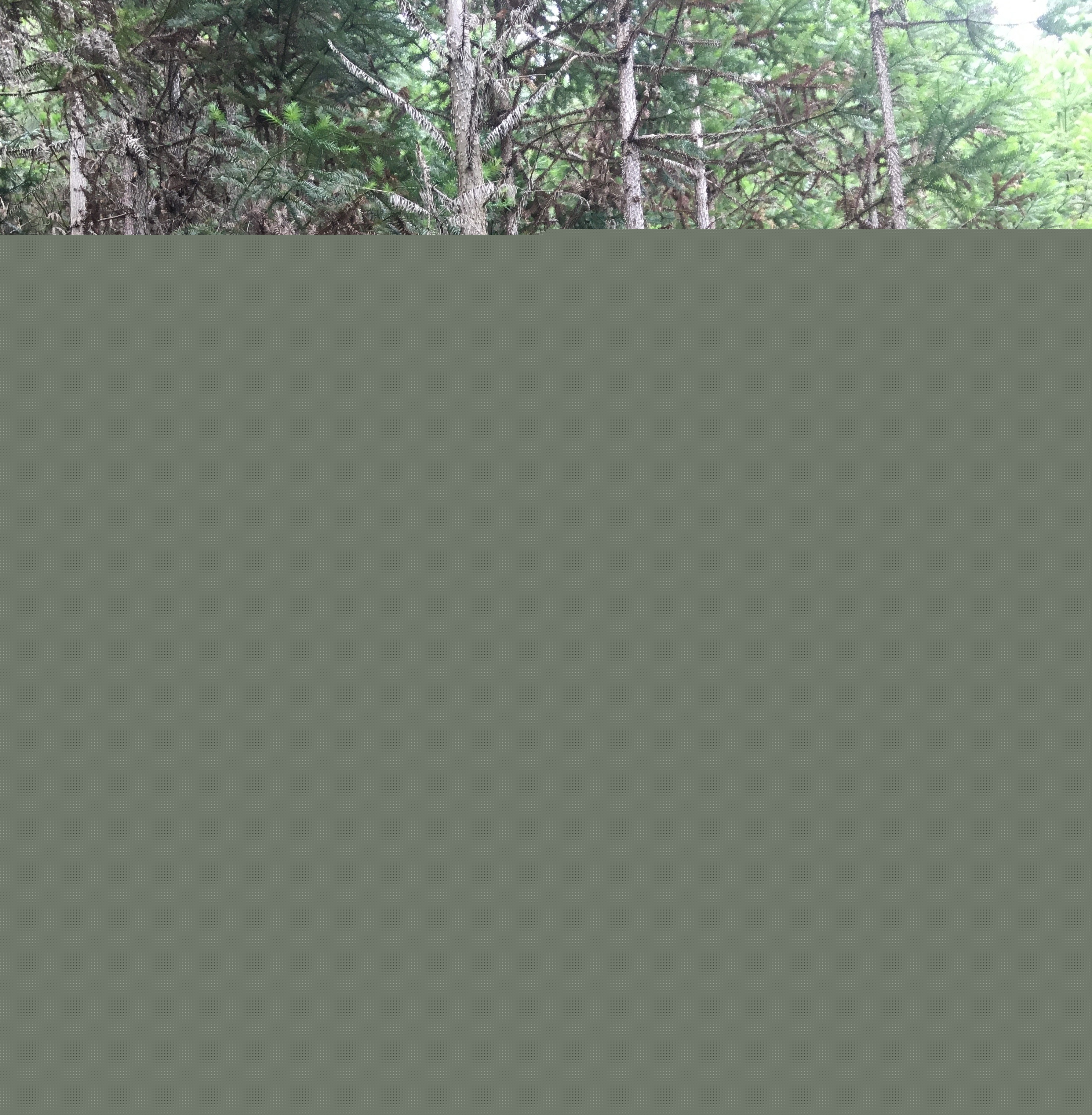 支部結(jié)對共建 促進黨建業(yè)務(wù)“雙提升”