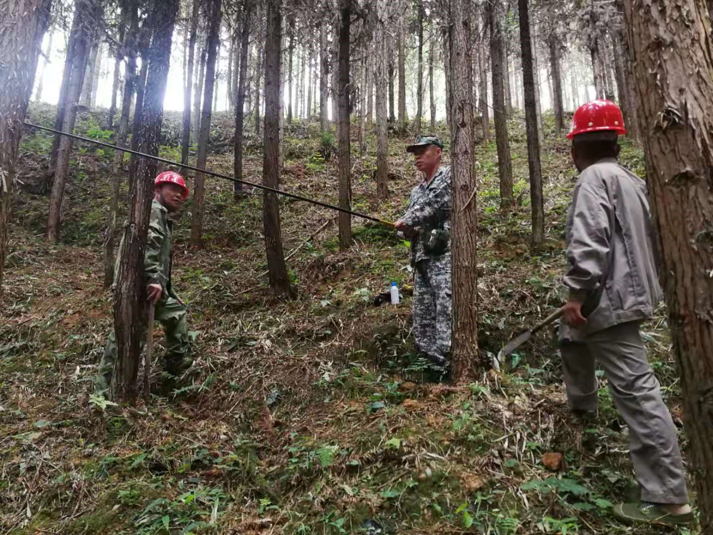 支部結(jié)對共建 促進黨建業(yè)務(wù)“雙提升”