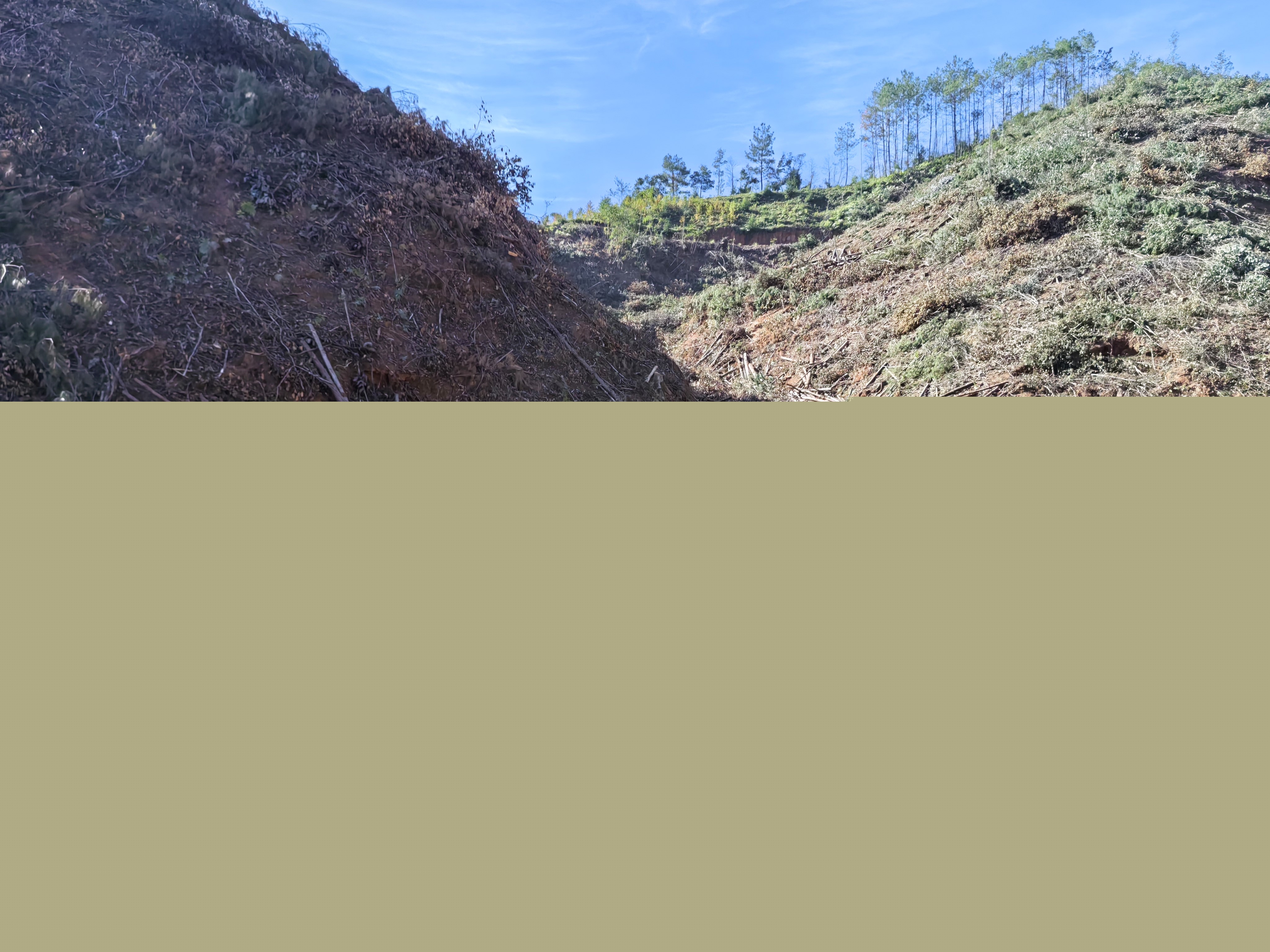 平安常青，我們?cè)谛袆?dòng)——常青分公司開(kāi)展安全生產(chǎn)日活動(dòng)