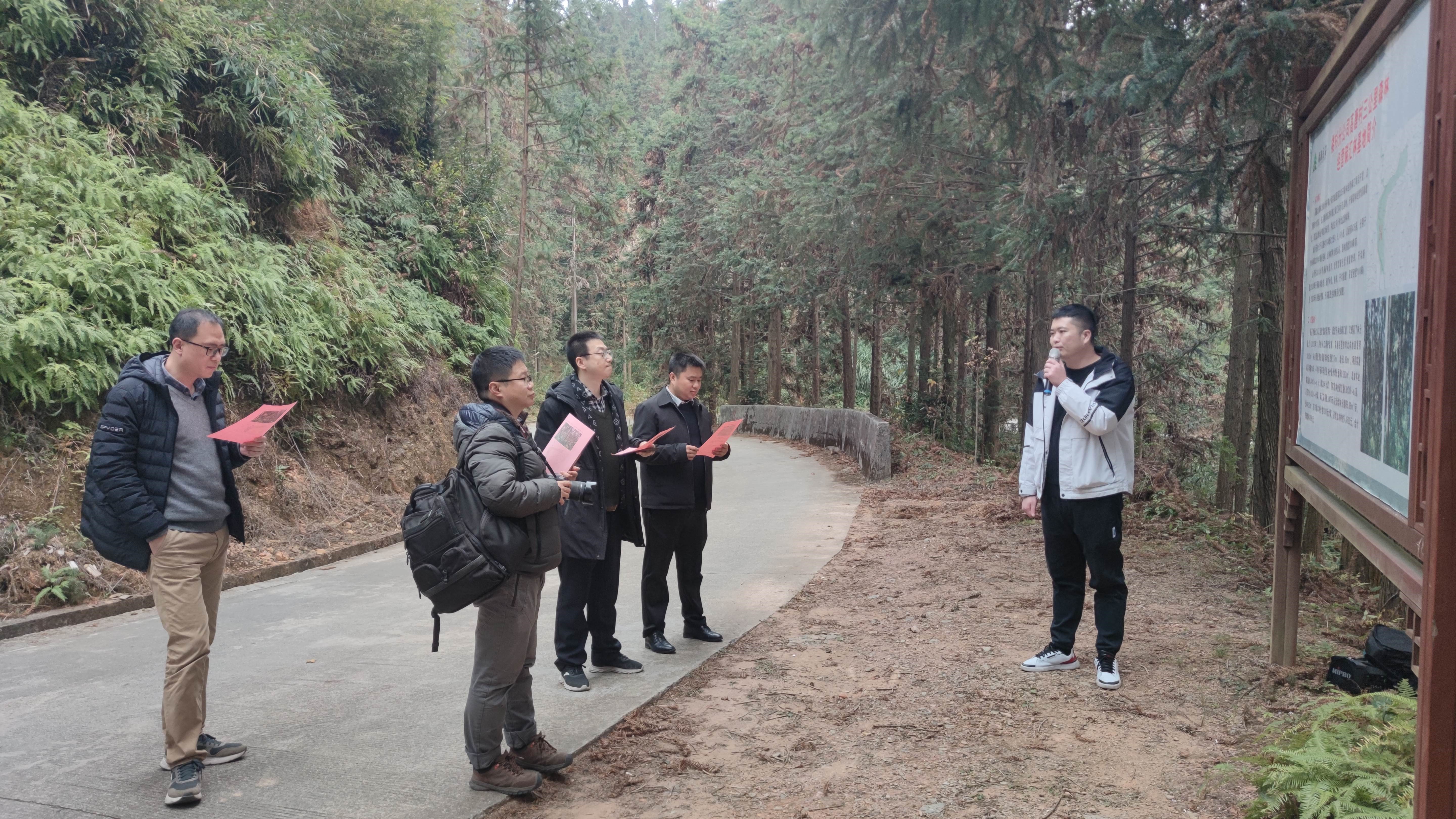 福建金森與上海園林集團(tuán)——強(qiáng)強(qiáng)交流促合作，共繪林改新藍(lán)圖