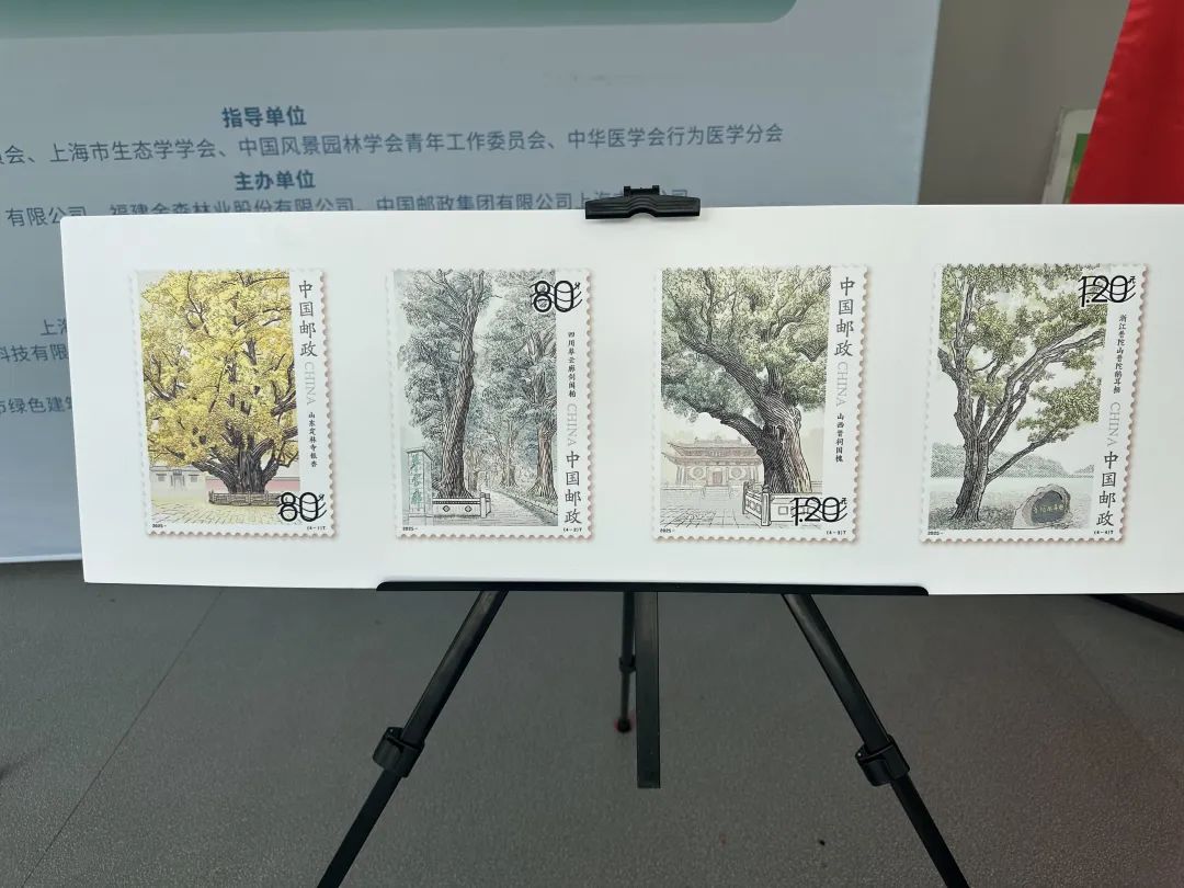 全國(guó)生態(tài)日來(lái)了！福建金森攜手舉辦上?！吧胶Ｍ铡ば雍糜心恪被顒?dòng)