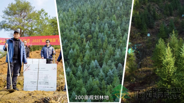 全國首個(gè)!!!“滬明杏林”醫(yī)療碳匯林項(xiàng)目成功啟動(dòng) 福建金森攜手多方共推醫(yī)療與生態(tài)融合發(fā)展新范式